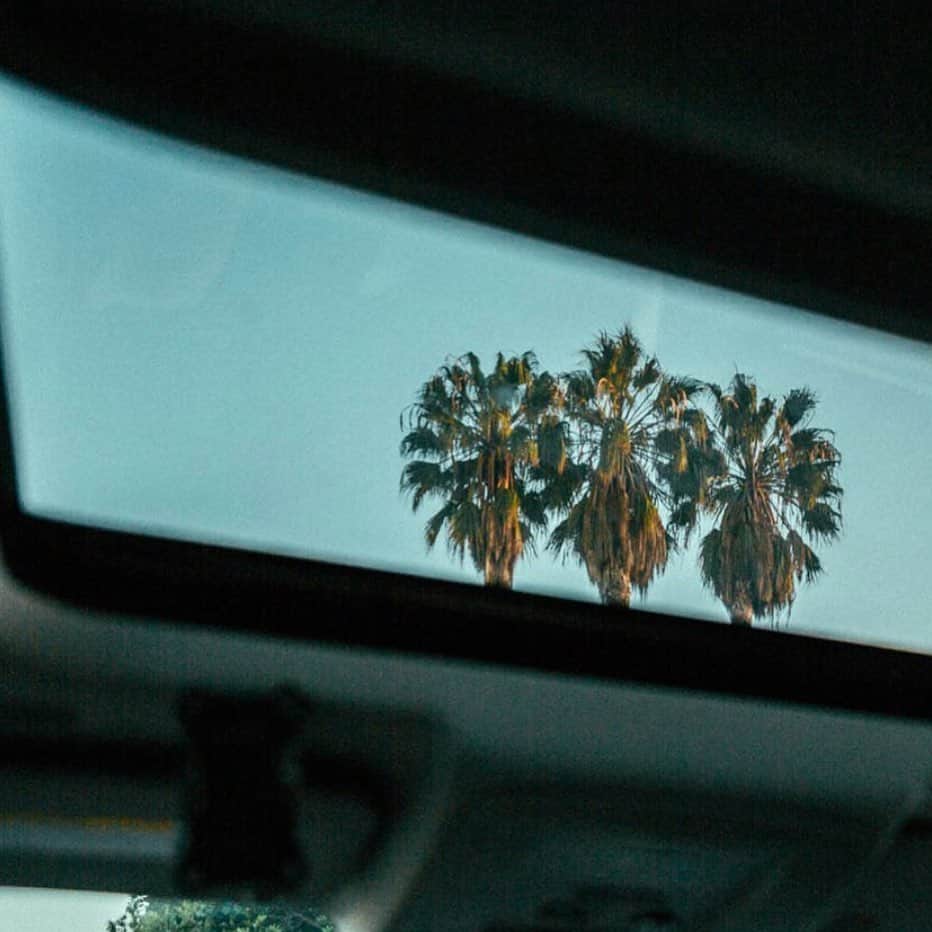 MARISのインスタグラム：「I was in LA last year of now🌴 I need palm life sometimes💛 I’m so excited for our future tho! Doing our best 🧡✌️」