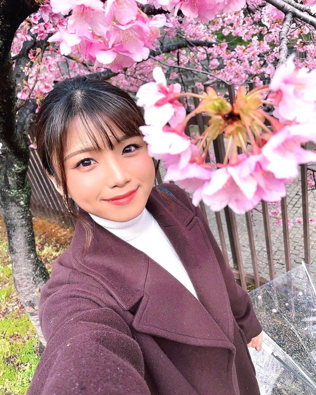 山本ゆうかのインスタグラム：「淀、今日は雨だったので人が居なくて撮影しやすかった。 . 今年はコロナの影響で、屋外で遊ぶことが増えたため 晴れの日に行ったら、例年よりもかなり人が多くてびっくり。 静かに見たいなら雨の日がオススメです。 . . #河津桜 #淀水路　#淀 #桜」