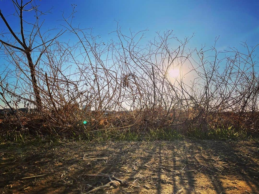 音月桂さんのインスタグラム写真 - (音月桂Instagram)「本日いよいよ 「高木ブー88歳だヨ！全員集合」ON AIRです。 お誕生日を 素敵な音楽でお祝いできるよう 心を込めてお届けします。 是非ぜひご視聴下さいませーっ！  May it be a shining day. Luv ya ❤️  🤙🏻Me ke aloha pumehana🌈  @bootakagi85 さん　#88 歳 #birthdaylive」3月6日 11時12分 - keiotozuki_official