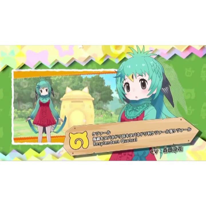 森田涼花のインスタグラム：「🍀🌱🦜🌿💚 アプリ版『けものフレンズ３』 ケツァール CV.森田涼花 3月5日(金)より「ぴっくあっぷしょうかい」にて登場🌟  ♪ けものミラクル「届いて！しあわせの羽根」  【ケツァール Profile】 中米のごく限られた地域に生息している色鮮やかな美しい鳥で、「見ると幸せになる」と言われるほど希少な存在。古代メソアメリカの神話では、農耕・文化の神ケツァルコアトルの使いとされている。」
