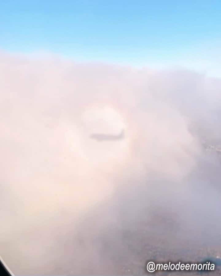 メロディー・モリタのインスタグラム：「On a flight during my business trip and had a mini freakout moment😱 looked out the window and saw a clear shape of plane right in front of me! my heart was racing as it kept getting closer and closer....  Turns out it was just a shadow of the plane I was on(-｡-;), but it still gave me chills seeing it happen so up close😅  Looking back at some past international flights makes me even miss the plane food. hope to be able to see friends and work buddies overseas again soon😭  Have an amazing weekend ahead!✨  出張のフライト中、怖すぎる光景が‼️ 飛行機の窓からふと外を見たら、雲の中にくっきりとした飛行機が・・・・・ どんどん近づいてきて心臓がバクバク😱  と思ったら、私が乗っている飛行機の影だったのですが、ドキドキはおさまらず、無事に着陸する事を願い続けたフライトでした😅  気を取り直して、仕事頑張ってきます💪  海外出張の懐かしい写真たちを振り返って✨ 機内食も恋しい😭  それぞれの国で感じた色々な思いを忘れずに、今はアメリカ国内から次に繋がる何かを届けられたら嬉しいです。  それでは、皆さんも素敵な週末を！☀️ #brockenspectre #ブロッケン現象」