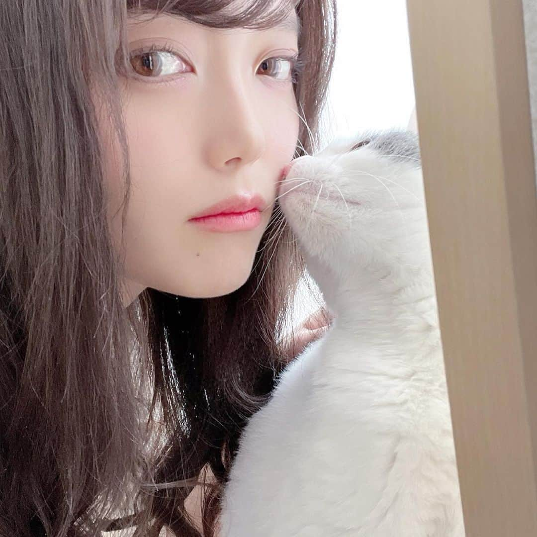 山田あかりさんのインスタグラム写真 - (山田あかりInstagram)「ちいちゃんとひたすら戯れる写真🐈  最近の目元メイク カラコン @mitunolens  スプリング ナチュラルにちゅるちゅるな瞳になれるのと、長くつけていても目が疲れなくておすすめ💓  マスカラ @heroinemake  大好きな #ヒロインメイク 史上最高マスカラがパワーアップ✨ 2021年3月8日に発売予定だよ！ わたしはブラックをつけていて、一日中つけていても滲まなかったし、花粉症で目を擦ってもよれなかったから安心🥲💓  #mitunolens #蜜のレンズ #カラコン #韓国カラコン #キスミー　#スプリング　#カラコン　#ナチュラルカラコン　#ウォータープルーフマスカラ　#ロングカールマスカラ　#マスカラ　#ブラックマスカラ　#アットコスメ #マスカラ　#天まで届けマスカラ　#キャストズセレクト　#うるうるカラコン　#新作コスメ　#コスメレポ　#メイクレポ　#カラコンレポ」3月6日 20時24分 - akari030201