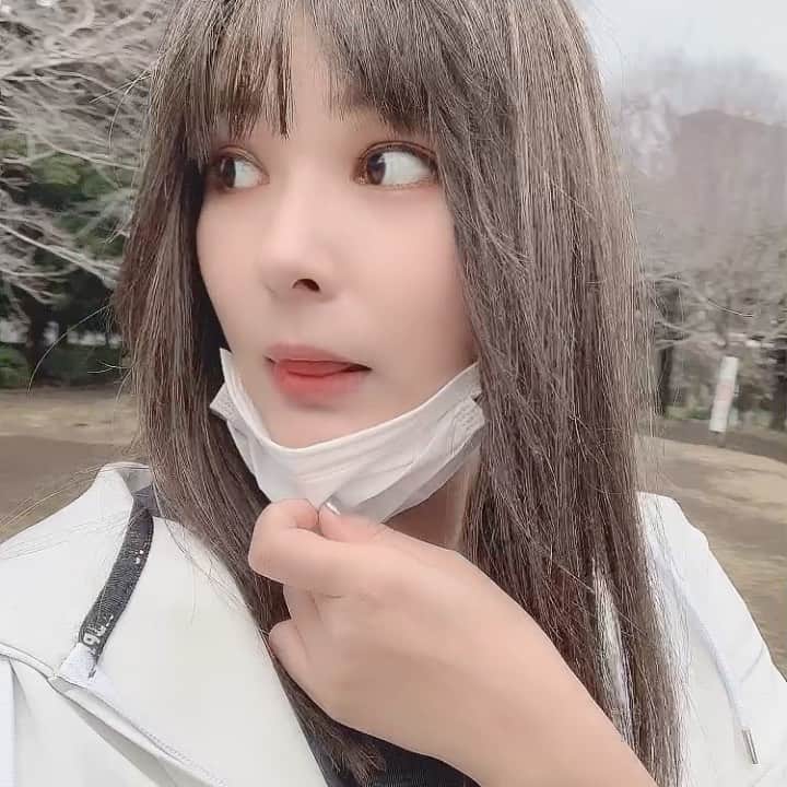 松尾幸実のインスタグラム：「朝のウォーキングで代官山の公園見に行ったら早咲きの桜と出会えた🌸」