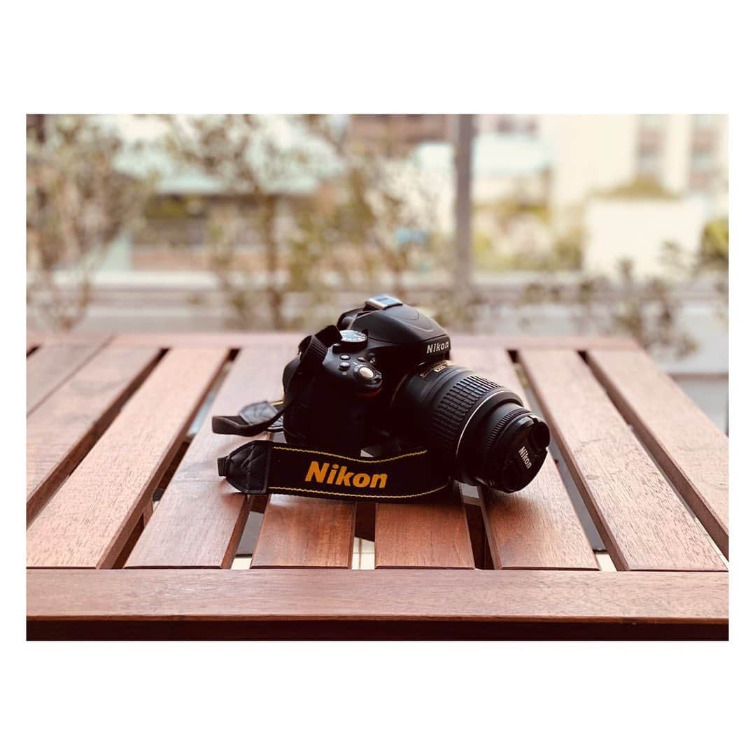 植田早紀のインスタグラム：「10年程前から愛用している一眼レフ。いまだにうまく使いこなせていないのは勿体ないので、ちゃんと勉強してみようかな。愛犬を可愛いく撮りたい♥︎  #一眼レフ #カメラ女子 #愛犬との暮らし #カメラ好きな人と繋がりたい」