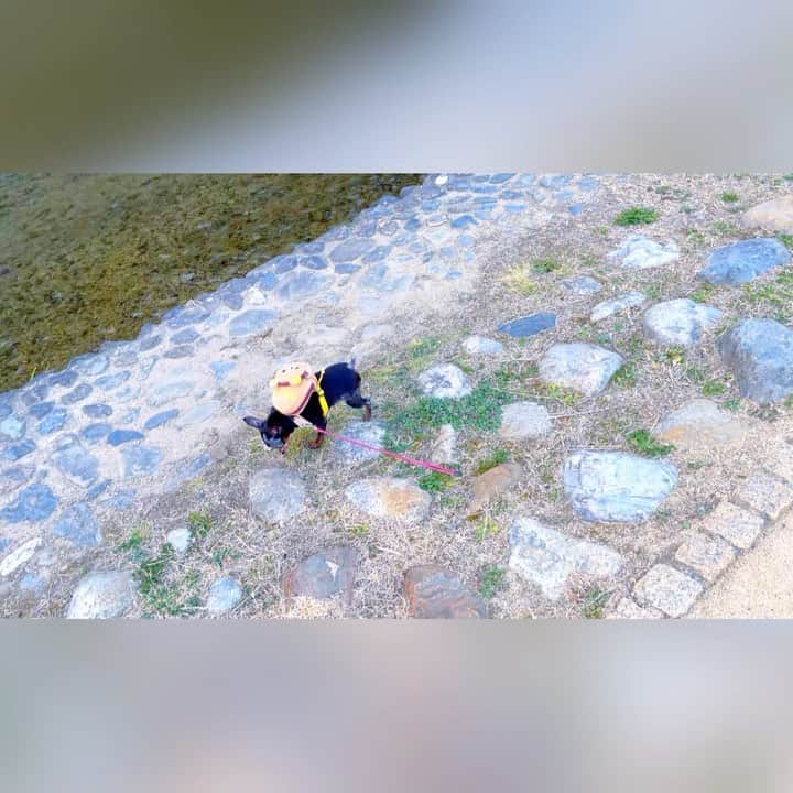 百合華のインスタグラム