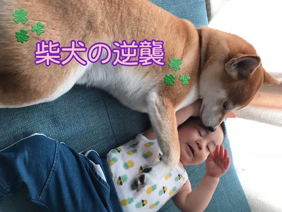 高橋みゆきのインスタグラム：「どうぞご覧あれ🙏😊  https://m.youtube.com/channel/UCGqUhEkc94FG3oW8CQZBh1A」