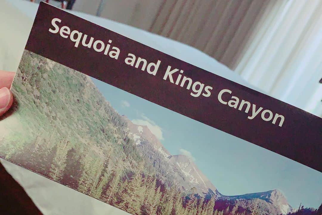 最上もがさんのインスタグラム写真 - (最上もがInstagram)「旅行にいきたーーーーーーい  けど行けないので 行った気分になるやつ。  Sequoia & Kings Canyon National Parks  ここ、めちゃくちゃよかった〜。 まぶしかった。🌞」3月6日 15時12分 - mogatanpe