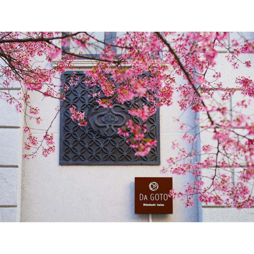 石井美保さんのインスタグラム写真 - (石井美保Instagram)「春みつけた」3月6日 16時08分 - miho_ishii