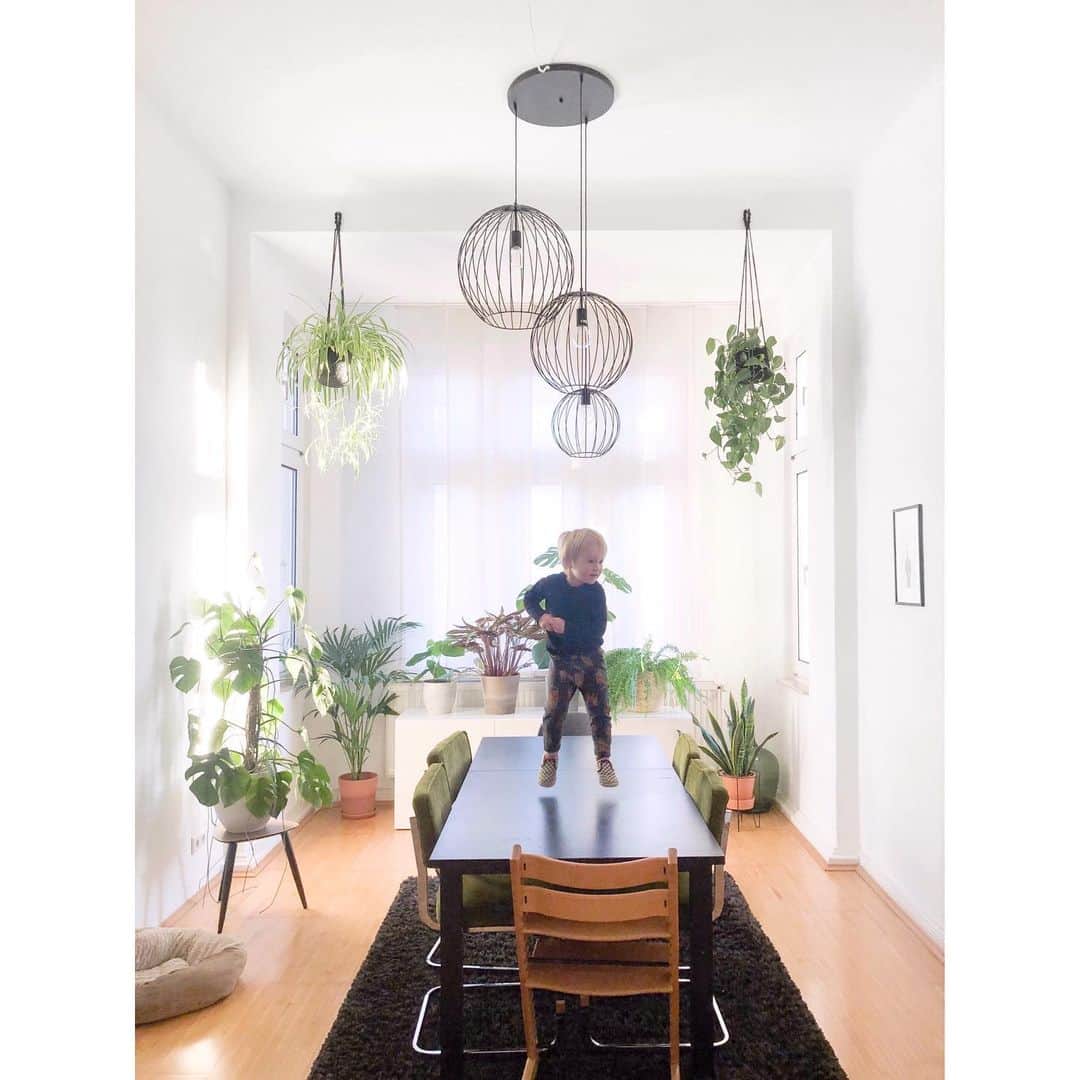 palomaparrotのインスタグラム：「how to kick-start your weekend」