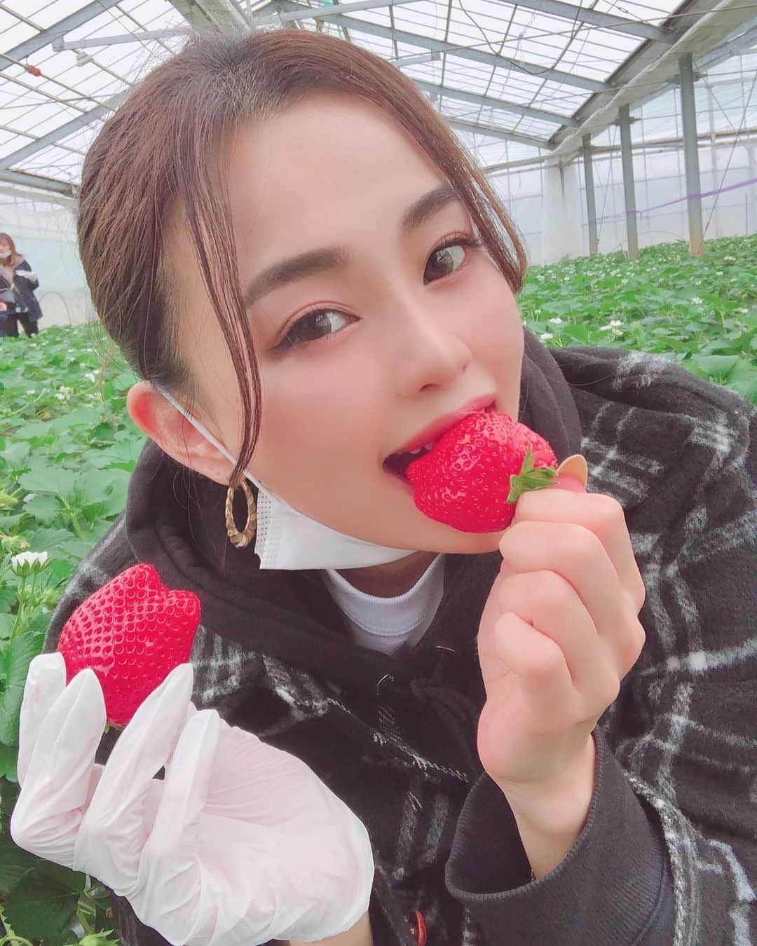 yumiのインスタグラム：「. やっほゆみだよ🍓 イチゴすんごーいでかかったー😘🍓 味もかなり良かった👧🍓 変な形ばっか選んじゃう😂🍓 20個くらい食べたかな？🙂💕💕 コロナ対策もばっちりでした🤙✨ . . #いちご狩り #春 #spring #strawberry #毎年恒例」