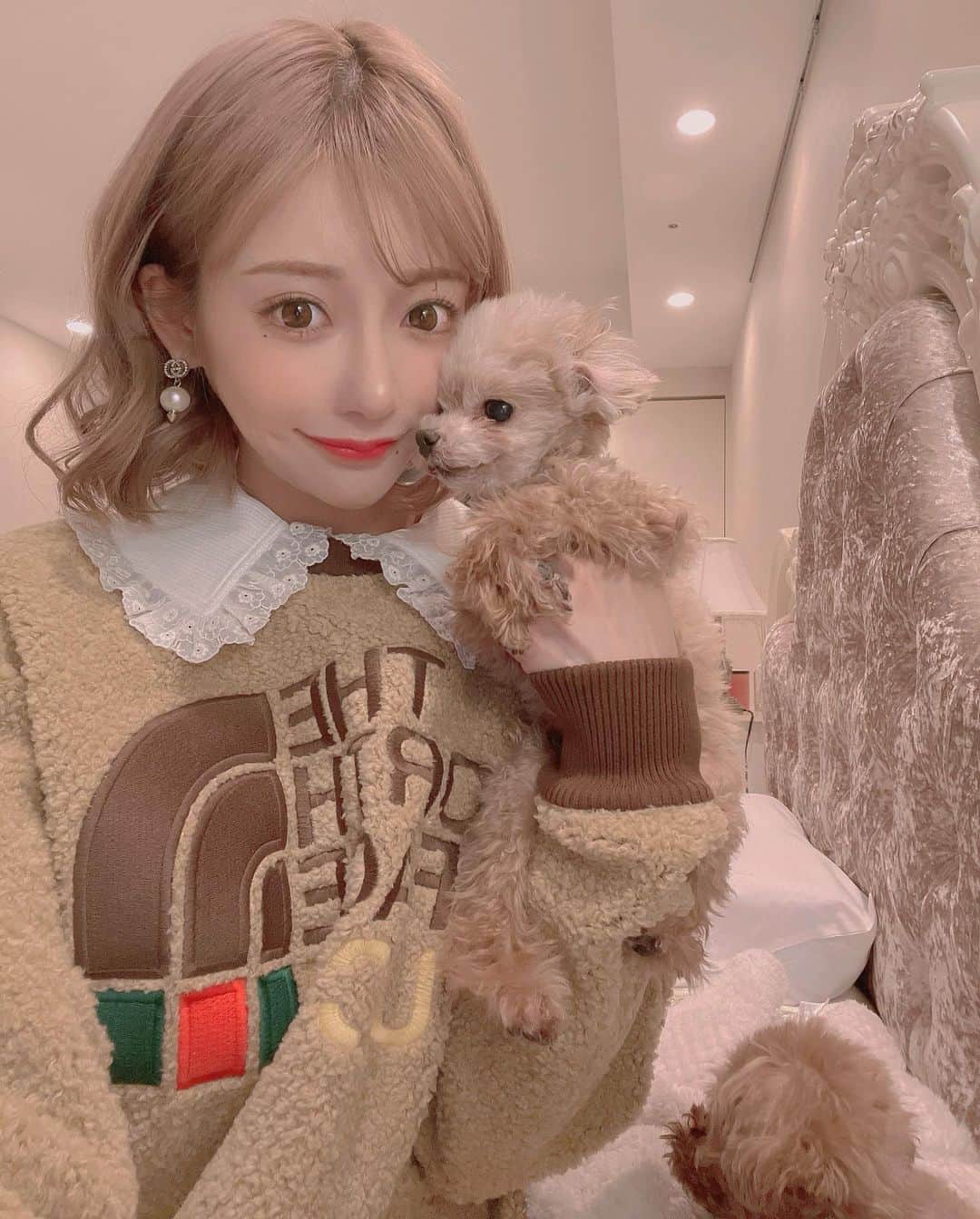明日花キララのインスタグラム：「うちら三兄弟🐩🐩🐩」