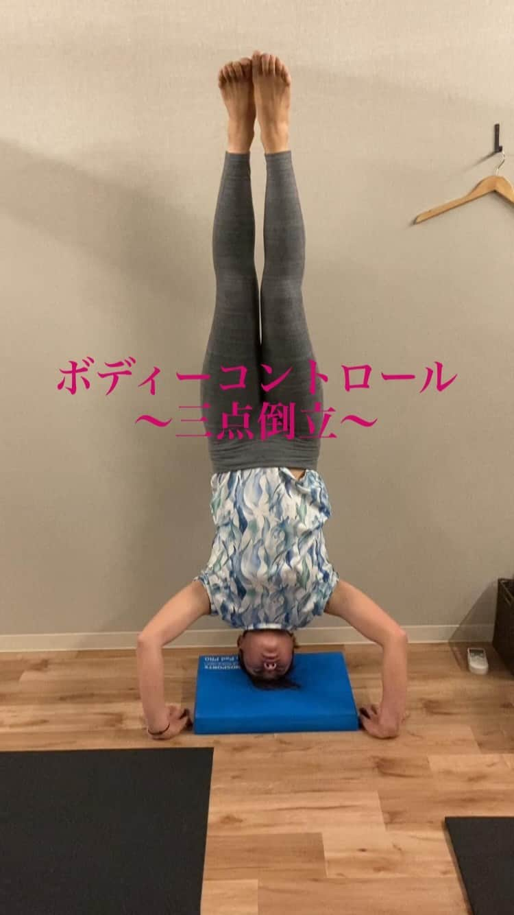 鈴木千代のインスタグラム：「本日の @k.fit.consultant  トレーニング #三点倒立 自分の身体をコントロールするのが目的です。 結構体幹部にも効きます💪 ※お尻は壁についてません🙅‍♀️」