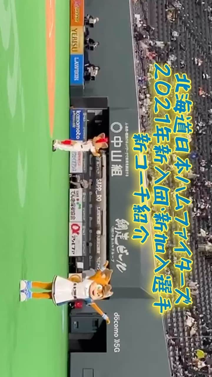 北海道日本ハムファイターズ フレップのインスタグラム