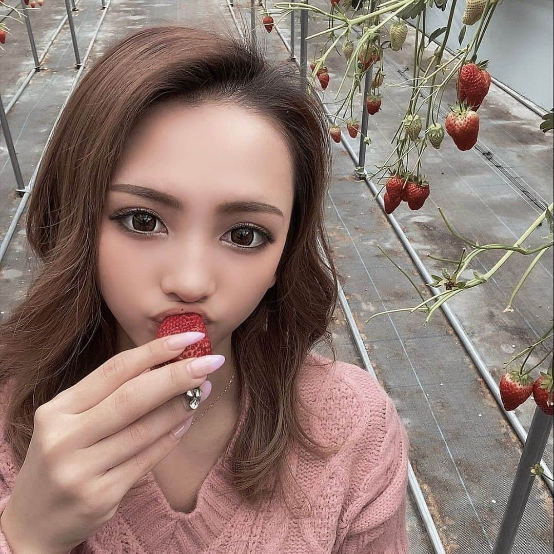 西谷麗菜さんのインスタグラム写真 - (西谷麗菜Instagram)「イチゴ狩り🍓💖」3月7日 7時30分 - __reeechangram__