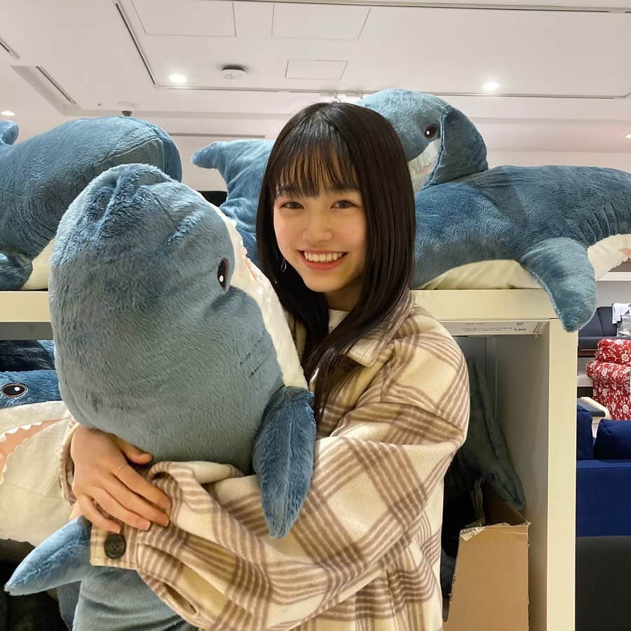 山田瑠々のインスタグラム：「サメチャン🦈⸝⸝⸝  #ikea #サメ #捕獲 #ごめんね」