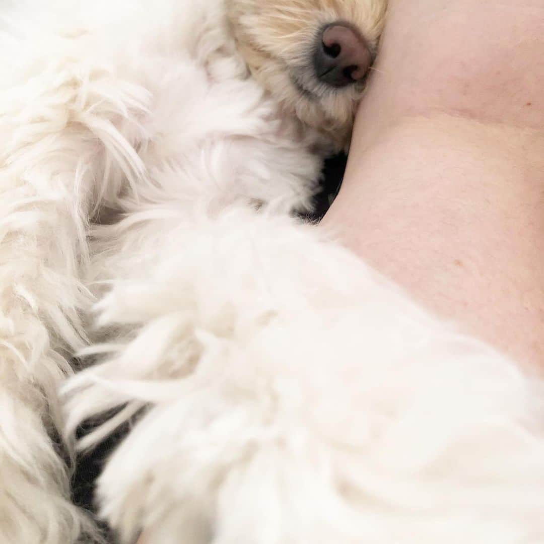 北山陽一のインスタグラム：「撮るの難しかった…… #きたやまおもち」