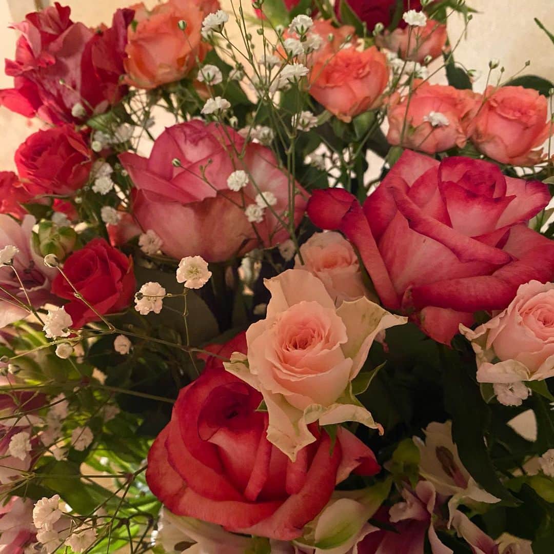 熊谷真実さんのインスタグラム写真 - (熊谷真実Instagram)「照明あり、なし。  信じられないほど美しい。 高山ローズさんの薔薇。 ひと月以上枯れなかった、高山ローズの薔薇を誕生日プレゼントにいただきました、  #高山ローズ#誕生日#素晴らしい薔薇#美しい#生きてて良かった#熊谷真実」3月8日 0時52分 - mami_kumagai310
