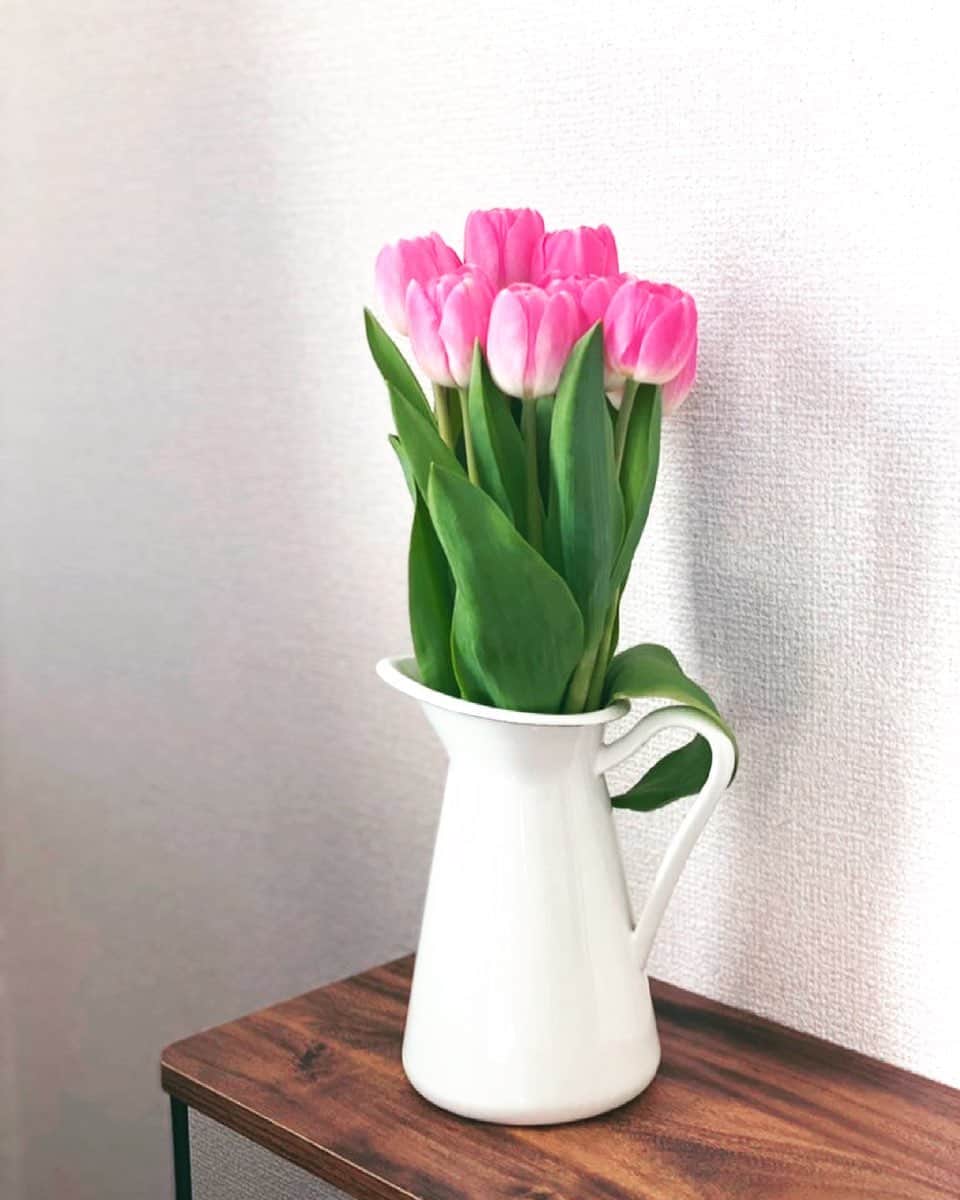 海津ゆうこさんのインスタグラム写真 - (海津ゆうこInstagram)「春らしくチューリップ。 JAの直売所　@ja_kitaechigo  で販売していたチューリップ。 ツボミで買ったのに、あったたかったのでもう開いてきちゃいました。 春の花は色もキレイで好きです。 今年はラナンキュラスに出会えるかな。  #チューリップ#tulip #春の花#ピンク#花のある生活#flowers #花を飾る #花を飾る生活 #春が好き#spring #instagood #instalike #instalife #instadaily #instapic」3月7日 18時11分 - yuco310