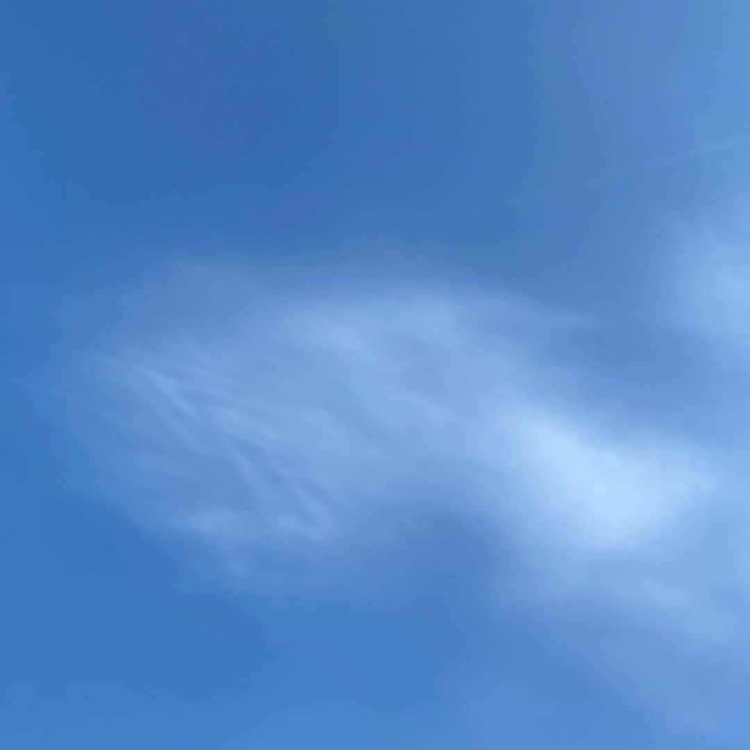 松本日向さんのインスタグラム写真 - (松本日向Instagram)「本紫☁️がんばる気持ち  最近はひとつ目標を決めてそこにたどり着けるようにがんばっています〜✊ みんななんか小さな目標とか決めたりする？ あ、最近思ったのが筋肉痛になって、治るスピードが本当に遅くなったと感じてます、、😢 前までは1日寝たら次の日ヘッチャラだったのに😭😭笑  #松本日向 #空好きな人と繋がりたい #空が好きな人 #福岡の空 #空 #散歩」3月7日 18時55分 - matsumoto_hinata