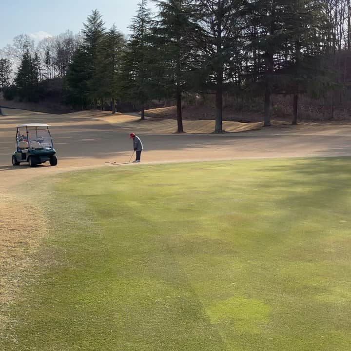 須藤弥勒さんのインスタグラム写真 - (須藤弥勒Instagram)「今日は私の中で非常に満足する練習日だった。  その日によって、選手の持っていき方は違うとおもう。  特に親であれば、自分の子供がその日、良い気になっているのか、自信をつかす必要があるか、それとも葉っぱをかける必要があるのか、気合が必要なのか分かるし（今日に関していえば）今までやってきたことが、まちがえではなく、後は自信を持つだけと理解していたので、そこを突いたらドンドン良い結果が出てきた。  これもSコーチのおかげである。  彼と私で、相談しながら、ドンドン、練習のメニューを改良し、より実践的に結果がでるにはどうするべきか、考える。  そして試行錯誤した後、こう言う風にやってみますかとやらせてみて、やっぱりこうしましょうと話して、そして究極のメニューを作り上げていく。（そして、これが、ドンドン大きな選手たちが練習をして、国体レベルでも結果が出ているので、多分うまくいっているのだとおもう）  私はゴルフの素人なので、技術的なことはコーチに任せて、その技術内で、どのようにそれを練習すれば、試合という結果に結びつけられるか考えるが、ショットもショートゲームも結びついてきて、弥勒もある程度の技量が身についたことによって一気に全てが良い方向に結びついているようですこぶる嬉しい気持ちでいっぱいである。  ここで、１つ、間違えがないように書いておきたいことがある。あまり、良いことではないが、先日も、知らない人から「栃木の〇〇プロ知っていますよね、彼は弥勒ちゃんのコーチで、弥勒ちゃんを育てたのは私だ」と言っていましたよと話しかけてきた。  聞いたことも、会ったこともない人物である。 （こういうことは以前にも何度もあり、場合によってはtv局に私は弥勒ちゃんを教えて、このレベルにしたのは私だとキー局から、本当ですかと問い合わせがきたことがある）  なので、ここで明白にしておきたい。  弥勒のコーチは今まで私の中で3人しかいない。  1人は、5歳の時、弥勒を芝生の上から様々な技を使えるようにするまで、育ててくださった、元韓国ナショナルチームのコーチ、オ　ユアン氏。2人目に、弥勒を6歳の時にそれまでの記録を大幅に塗り直してくださった時に昼夜問わずに献身的に教えてくださった、本山裕子プロ、そして最後が、弥勒が選手として壊されたあと、再構築をしてくださり、作り直してくださった、Sコーチこと鈴木清隆氏しかいない。  弥勒は数多くの男子プロ、女子プロとラウンドをしたり、練習をしたりし、そのあと技を教えていただいたり、ある一定に技やアプローチを教わるためにプロを読んだりすることがあるが、これらはあくまでもワンポイントレッスンであり（良いところ一点学べればよく、ダメな時は何も学べないことも多い）私の中で、その人他たちはスペシャリストであって、弥勒の成長の刺激は与えたとしても、結果が出た場合、その功績は、決して彼らのものではないことを書き留めておきたい。  これからも（明日もであるが）私が、ここがウィークポイントで、ここの強化が必要だと思うところのスペシャリストを招聘させていただき、ご教授をいただくが、あくまでも集中してワンポイントの強化である。  来年からアマ規約が大幅に変わり、経済力の部分でプロとアマの差がなくなるに等しくなるが、うちの場合、ドンドン資金力をこのようなスペシャリストを加えて、良い方たちはチーム弥勒に入っていただこうと思っている。（反対をいえば、続かなかったプロたちはうちとはあわなかったということである）と、同時にこれからも最強のチーム弥勒を作り上げるために良い人ドンドン、入れていきたいと考えている。  どちらにせよ、今後、ますます、プロにしても、関係者にしても、うちと疎遠となるものから、「弥勒ちゃんのうちは。。。（例えば弥勒ちゃんは良い子だけどお父さんが）と言う言葉が切られた人たちから溢れてくることが予想できるが、今の私の親としての大仕事は、9歳の娘を、自らの利害や宣伝に使おうとする輩からまもることだと思うので、今日このことを、ここに明確に書いておきたい。  Practice with coach and then with me in the afternoon. Short game is becoming dangerous. I can confidently say Miroku is the No.1 9 year old in the World.....really looking forward to this seasons tournaments. (The pieces are coming together really well)  #golf #juniorgolf #ジュニアゴルフ #ゴルフ女子 #ゴルフ #自信満々 #世界最強の9歳　#待ってろよ世界 #噛み合ってきた #血のにじむ努力」3月7日 19時51分 - miroku_suto