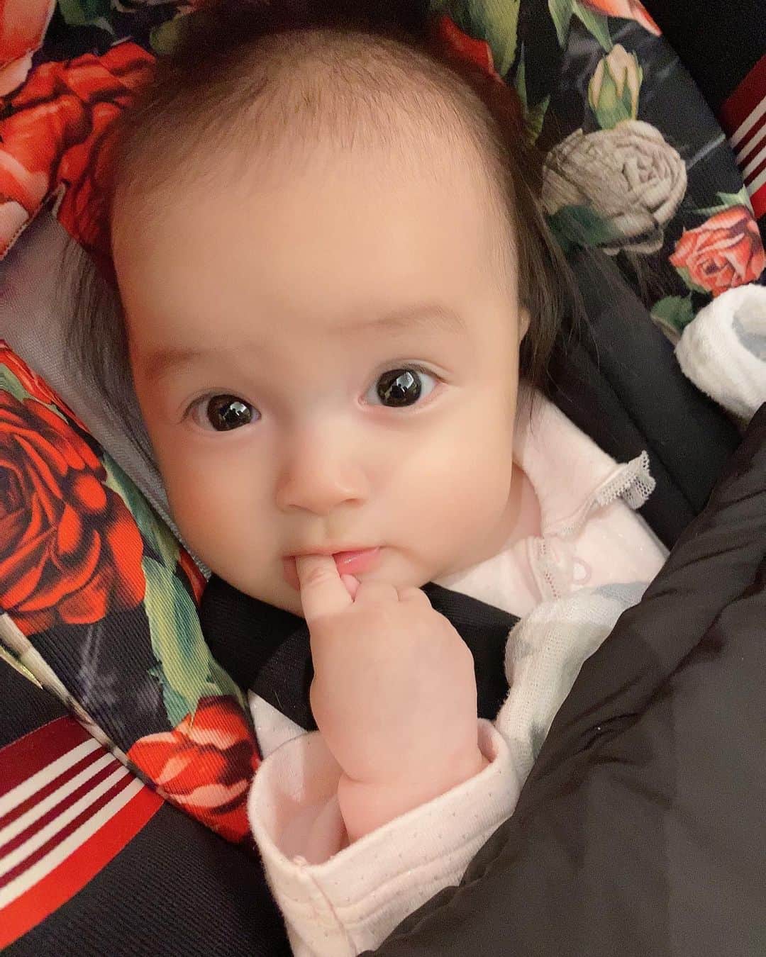 アレクサンダーのインスタグラム：「可愛いすぎてびっくりしちゃうんだよな、、 それが悩みです💦」