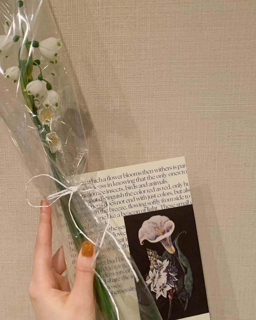 のインスタグラム：「﻿ 明日はミモザの日だけどスズランに惹かれて連れ帰ってきました🟡」