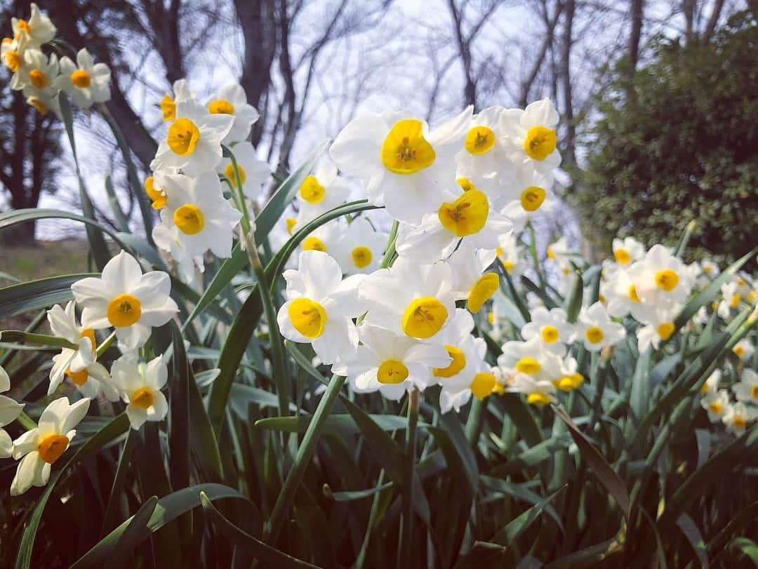 松田愛里さんのインスタグラム写真 - (松田愛里Instagram)「香川をゆった〜り☕️ 良いお休みでした！  気が付けば思い出いっぱいの友達、 旅する仲になっていた美佳ぽん。 お互い下手だけど、いつも ええ写真ばかりです。 #NHK高松 #佐々木美佳キャスター  明日からまたよろしくお願いします！ #荘内半島  #紫雲出山  #オリカフェ #香川 #瀬戸内海 #多島美」3月7日 20時40分 - matsuda_airi_