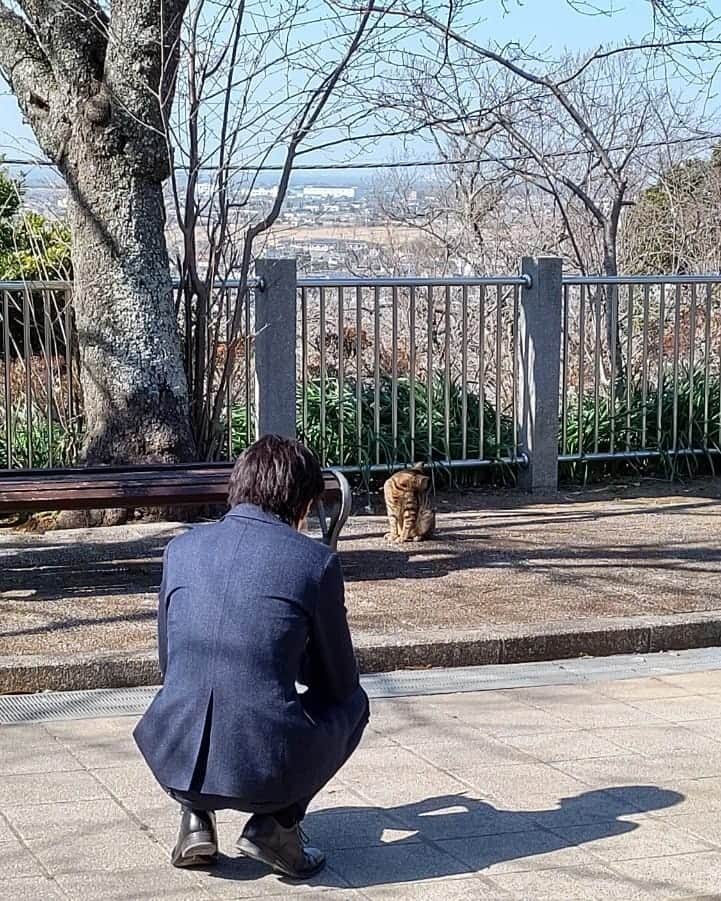 山田裕貴さんのインスタグラム写真 - (山田裕貴Instagram)「改めまして 今年も #特捜9  season4 になりますね  新藤、始動  @5drama9tokusou ←Twitterアカウント」3月7日 21時39分 - 00_yuki_y