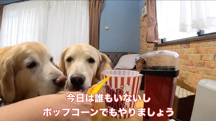 まゆみのインスタグラム：「。 。 #本日のYouTube 。 今日はあーぺーにとって あんまり楽しくない週末になってしまったので 久しぶりにポップコーンパーティーをしてみた😂 。 無味だけどみんなで食べると美味しい味がするような😂😂😂 。 #メンズが誰もいない #私もそこそこ忙しくてなかなか相手出来ず #つまらない週末 #そんな時こそ #ポップコーン爆食い #女子会」