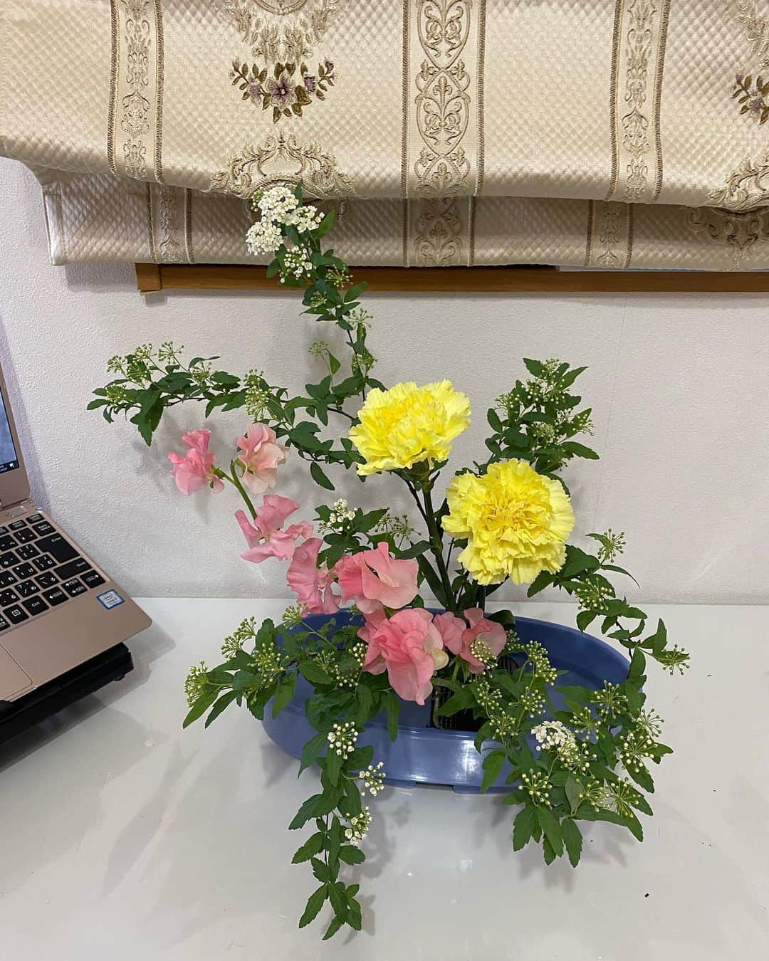 日達舞のインスタグラム：「. 先日、二年生最後の生花のお稽古をオンラインで行いました！  生花の花材は先取りで、季節のお花が早く出回ります。  通常、3月は春休み中で学校でお稽古がないので、オンラインお稽古では春の可愛らしい花を生けることができました💕  お家元に聞いてみると、 桜の枝🌸も既に花材として出ているそう☺︎  最近は器の色形に拘り始めて、My花器を作りに、陶芸に行ったりもしています✌︎是非、器にも注目してみて下さい☺️  季節感を感じられる趣味の一つです🤍  #華道教室 #広山流 #聖心女子大学 #華道部 #華道サークル #オンラインレッスン #花器」