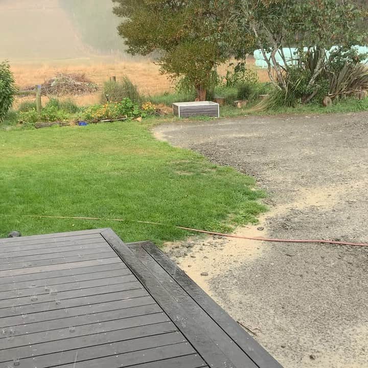のインスタグラム：「Good drop of rain!! すごい雨」