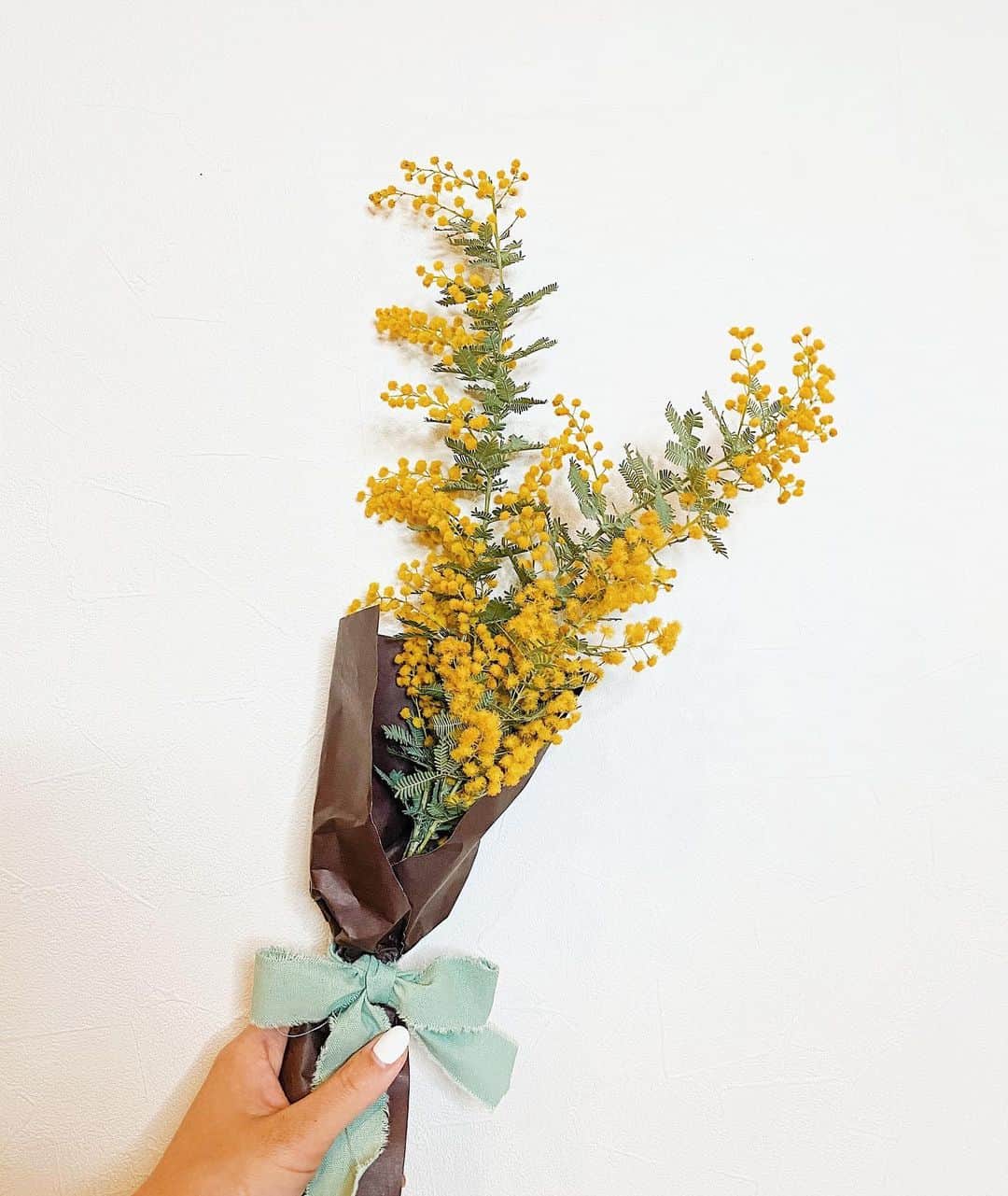 SÜMIREさんのインスタグラム写真 - (SÜMIREInstagram)「. 近くのお花屋さんで買ったミモザ🌼 綺麗に咲くのは一瞬なんだって🥺 ドライフラワーにして飾るのも楽しみ😌💛 #ミモザ #ミモザの日 #国際女性デー #mimosa #internationalwomensday」3月8日 20時10分 - 12_sumiregram_26