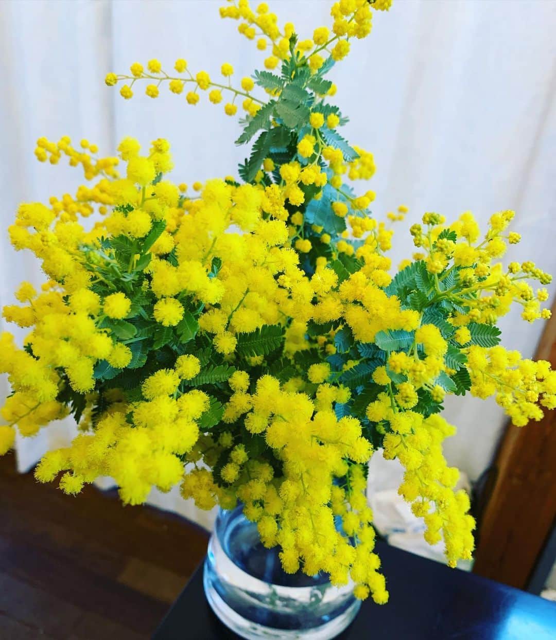 黒沢薫さんのインスタグラム写真 - (黒沢薫Instagram)「ミモザの日。 #mimosa #instaflower #beautiful #ガラスの靴で 🎶」3月8日 12時16分 - kaorukurosawa_lovelife