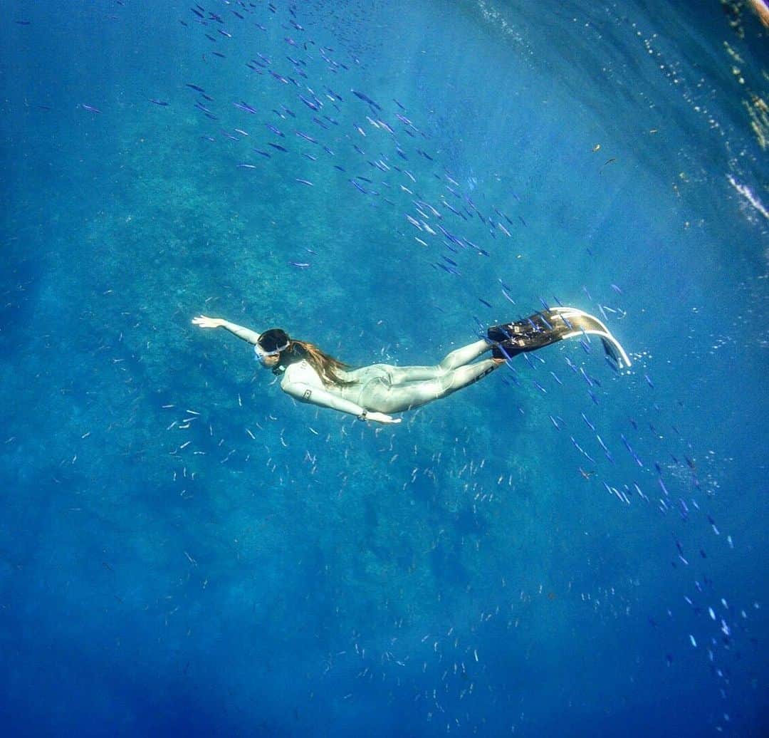 のインスタグラム：「私のシルバーのウェットスーツはキラキラしているからか、小魚達がよく寄ってくる。🐠🐟🐠🐟✨ 可愛い小魚に囲まれて潜るのはとっても至福の時間です😌 たまに獲物と間違えてサメも寄ってくるけどね😂🦈 #freediving #apnea #okinawa @zero_wetsuits @alchemy_hellas @aqua_lung_japan」