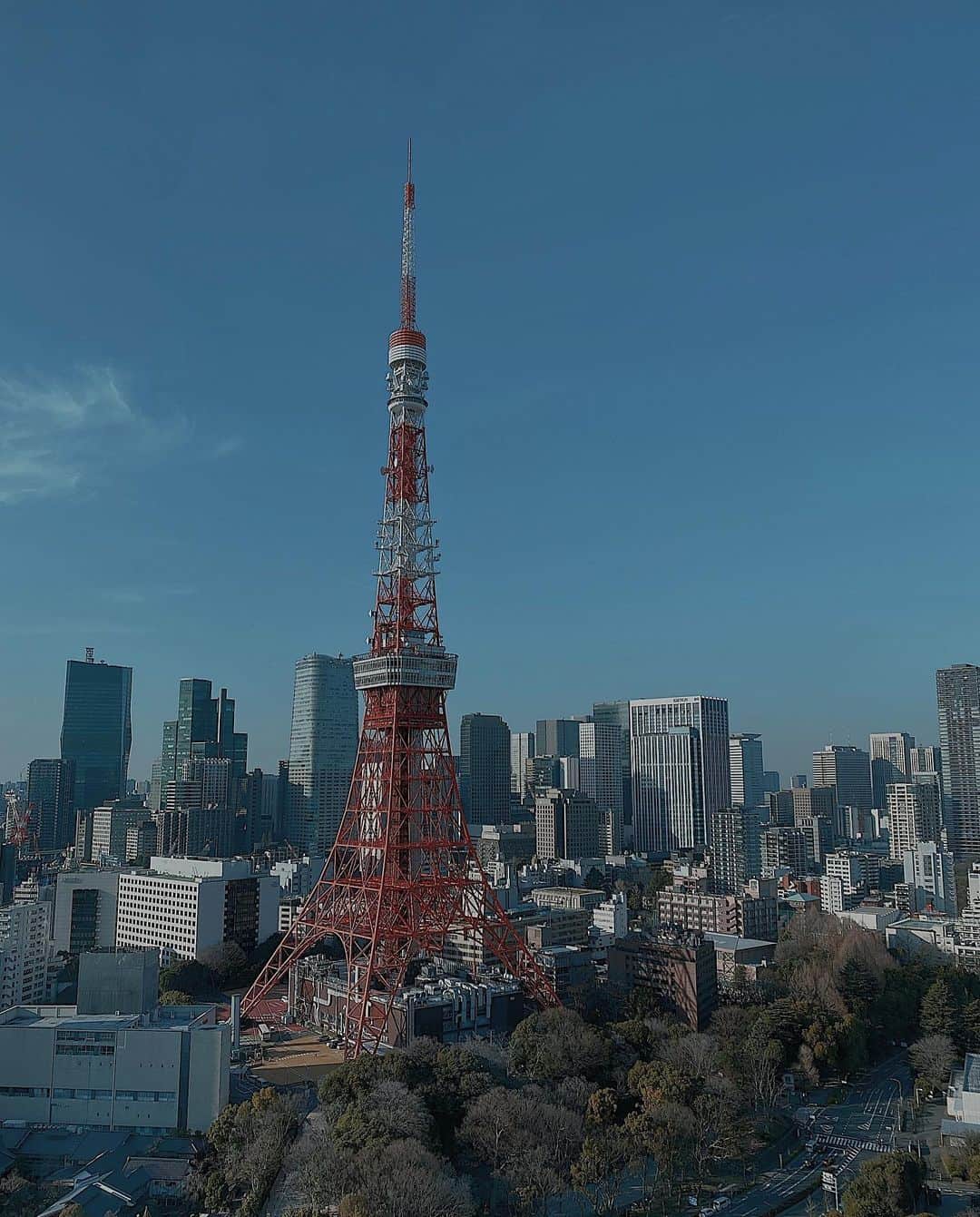 須田朱音のインスタグラム：「🗼  𝐓𝐨𝐤𝐲𝐨 𝐭𝐨𝐰𝐞𝐫. @princeparktowertokyo」