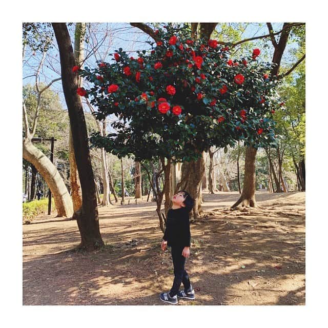 宇藤えみのインスタグラム：「蜂を観察しながら 花の蜜はどんな味なんだろうか。 とよだれ垂らしながら見上げる坊🐝 母さんも子どもの頃いろんな花の蜜すってたなぁ。笑 #暮らし#成長記録」