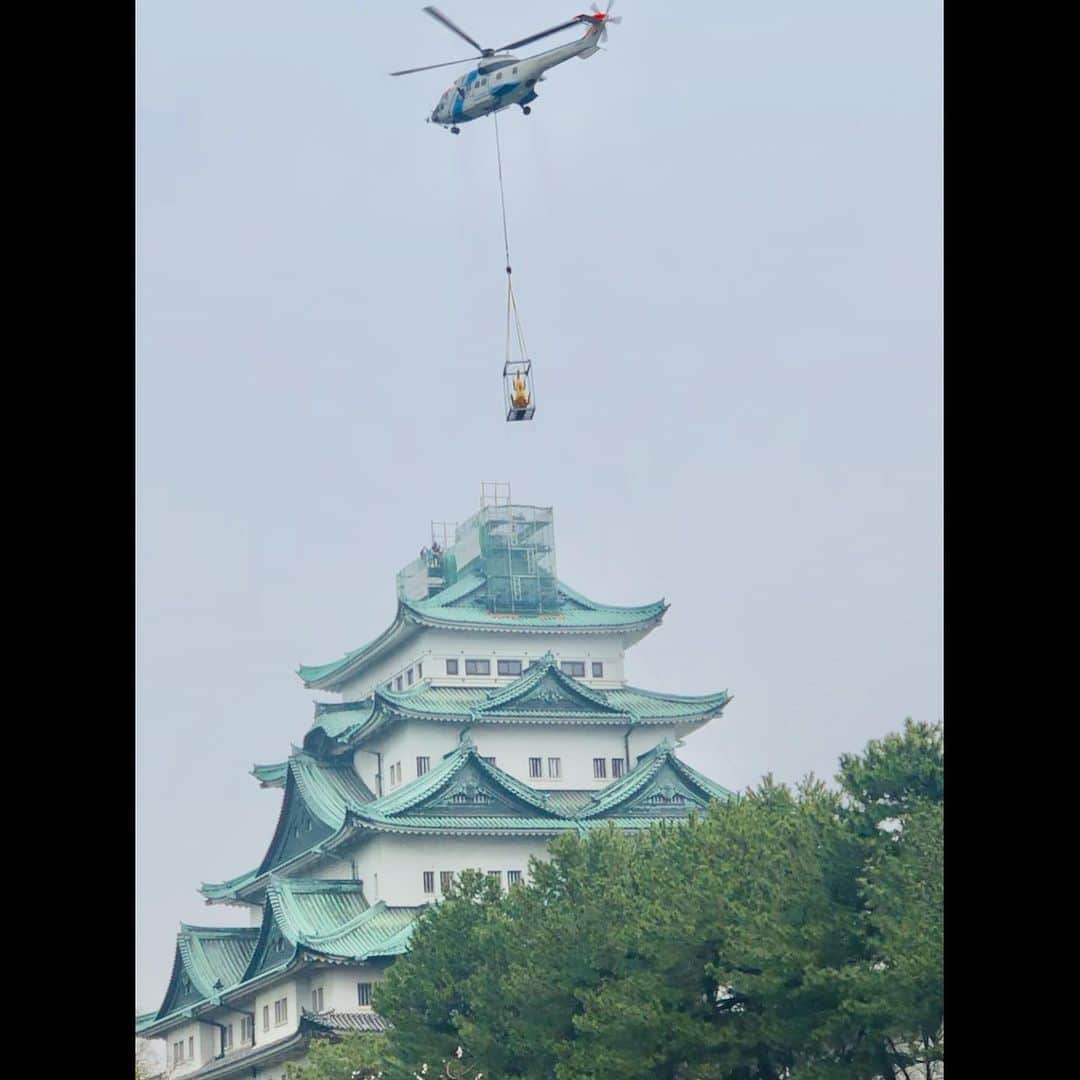 前田輝さんのインスタグラム写真 - (前田輝Instagram)「﻿ ﻿ 名古屋城の #金のしゃちほこ が、16年ぶりに地上に降ろされ一般展示されます！﻿ ヘリコプターで運ばれる様子は、まるで空を飛んでるようで圧巻！﻿ 間近で見ると本当に大きい。笑﻿ 記念にツーショットを撮っておきました😎✨﻿ ﻿ ﻿ #投稿今年1発目（笑）﻿ #SNSへの苦手意識を克服したい﻿ #名古屋城 #金シャチ #降臨﻿ #東海テレビスイッチ﻿ #東海テレビ #アナウンサー﻿ #前田輝」3月8日 16時34分 - hikaru__maeda