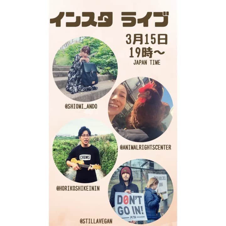 安藤志穂美のインスタグラム