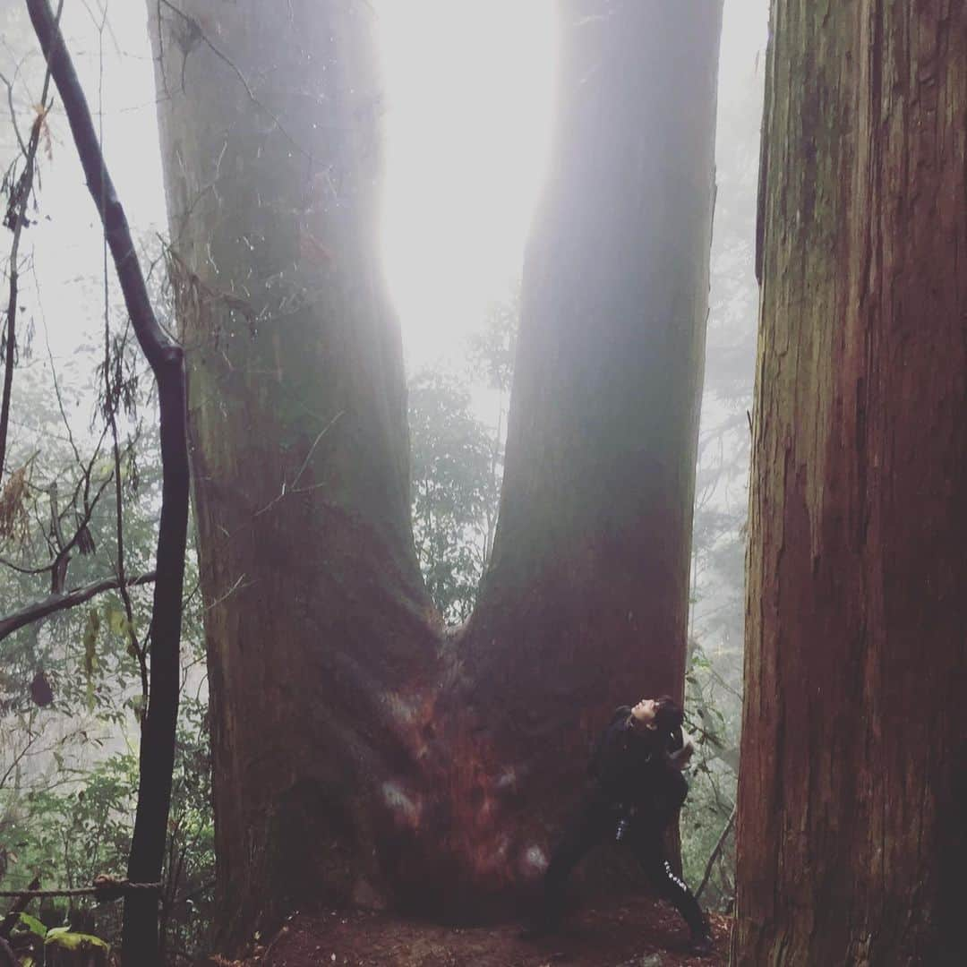 清野菜名さんのインスタグラム写真 - (清野菜名Instagram)「神様のカルテみてくれてるかな。 最終は引き続き最後までご覧ください。 おつかれーらいす。」3月8日 20時47分 - seinonana