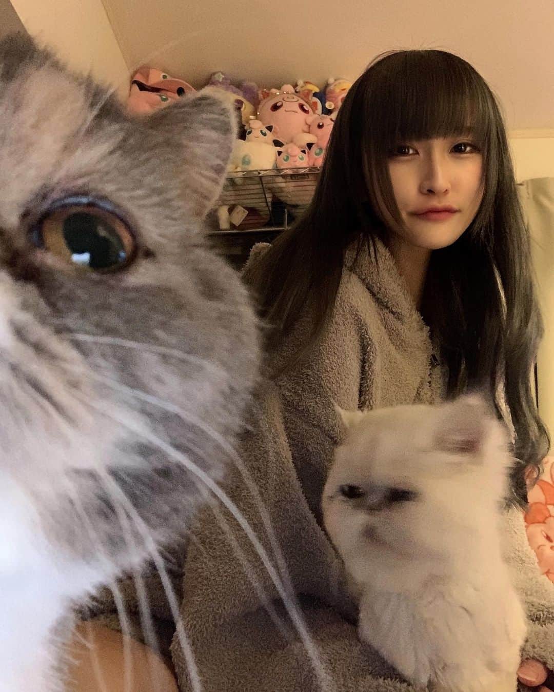 ちいぺこのインスタグラム