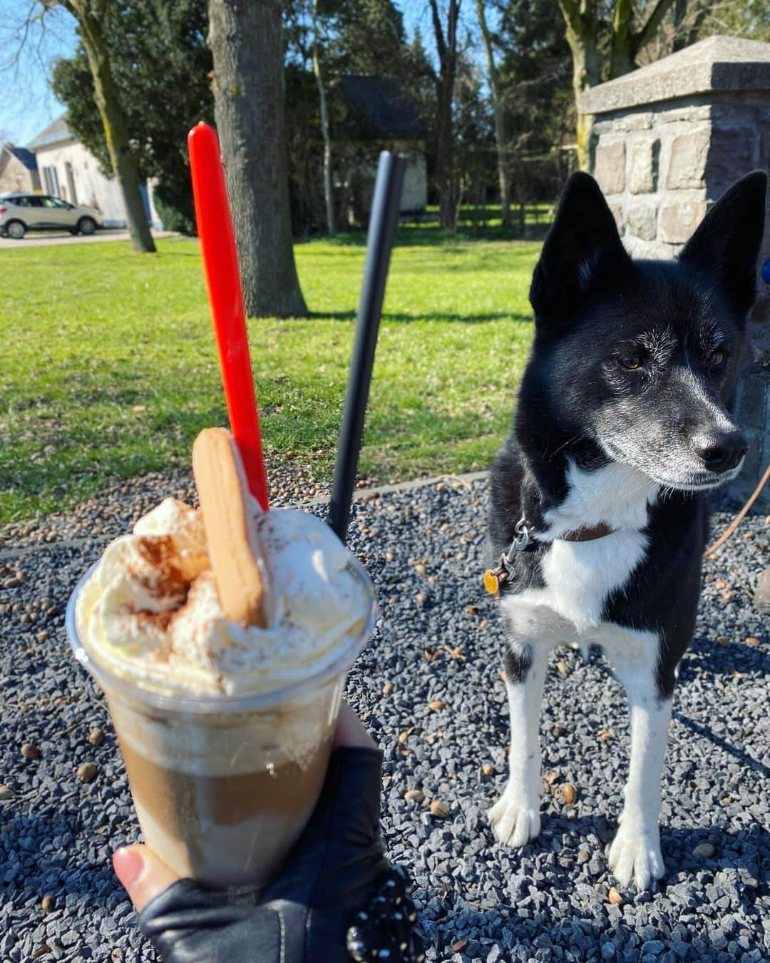 ステファニー・ヨーステンのインスタグラム：「A cup of comfort after a good walk ❤️」