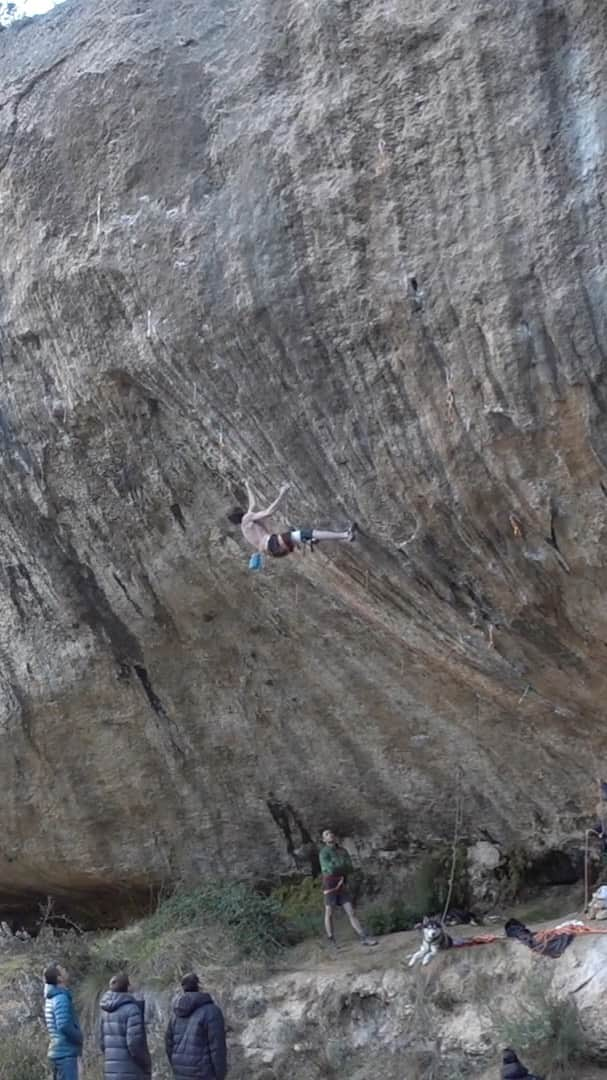 デイブ・グラハムのインスタグラム：「I know it doesn’t seem like much of an accomplishment, but ten years ago I couldn’t do any of the moves on this route, so making these links gives me a lot of hope about my potential as a sport climber. I’ve put together a sequence I think could work realistically, and hopefully can turn this into a solid one hang (and someday a solid no hang 😂) which I’ve been close to doing the past couple sessions. I was really hoping to climb First Ley this past month but couldn’t pull it off amidst the humid weather pattern that set in, however, I was happy with my progress on this legendary @chris_sharma masterpiece 🤟 Instead of grabbing the famous mono, which I particularly don’t like, I do the sequence slightly backwards, gaining the upper sidepull crimp in the crux via a tricky kneescum, then use a heel hook to get the right hand crimp 🤓It might not look as gnar, and feels pretty stout, but its much more my box, and feels like something I can do when I’m pumped. Seems like the north and west winds will be returning, bringing some drier windy days into the picture, which means no more FOG 🙌🏻 I’ve started training in the gym here again in hopes to make myself stronger than the conditions on the rigs I want to do, as mentally I have hit rock bottom and feel like a POS after a solid stint of trying really really hard, and having absolutely zero success. Hopefully I’ll gain some fitness and confidence with some good ol fashioned circuits and boarding 🤠 I am gonna keep puttin in the work out at the crag too; La Capella [9B] and Furia de Jabali [9A+/B] are on the ticket, plus these Labratory rigs, and some more moderate 8c-9a classics for good measure 🙇🏻‍♂️ Just gonna keep on waiting for my set to roll in 🌊 @adidasterrex @fiveten_official @petzl_official @climb_up_officiel @frictionlabs @sendclimbing @tensionclimbing @climbskinspain 🎶 myself/Island」