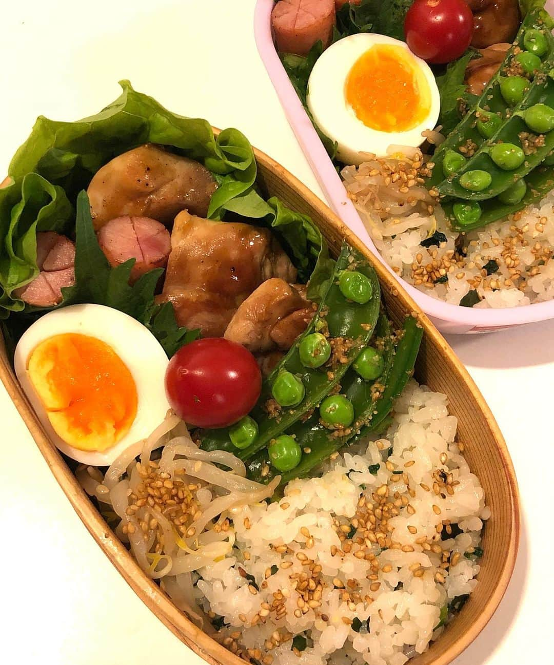 甘糟記子さんのインスタグラム写真 - (甘糟記子Instagram)「昨日のお弁当( ^ω^ )  鳥の照り焼き、スナップエンドウの胡麻和え、ゆで卵、トマト、ウィンナー、もやしのナムルです(o^^o)  子供達が帰ってくると、ポンポンと放り投げる鞄のところへ飛んでいってゴロゴロするアンコ(≧∀≦)  この2人を征服してやるにゃ！と言わんばかりに、自分の毛を鞄や脱ぎ捨てた帽子、制服に付けてくれます（笑）  しまいにゃ寝ちゃうしね\(//∇//)\  コロコロで毛を取るのはめんどくさいけど、ふわふわで可愛いわ〜(๑>◡<๑)  #甘糟ご飯#ご飯#昼ごはん#ランチ#ランチボックス#弁当#曲げわっぱ#わっぱ弁当 #鳥の照り焼き#スナップエンドウ#息子殿姫#姫#甘糟アンコ#白猫#白ネコ#ねこすたぐらむ#猫と暮らす#猫のいる暮らし#メイクーン#オッドアイ#ダイクロイックアイ#癒し#ふわふわ」3月9日 7時06分 - norihey924