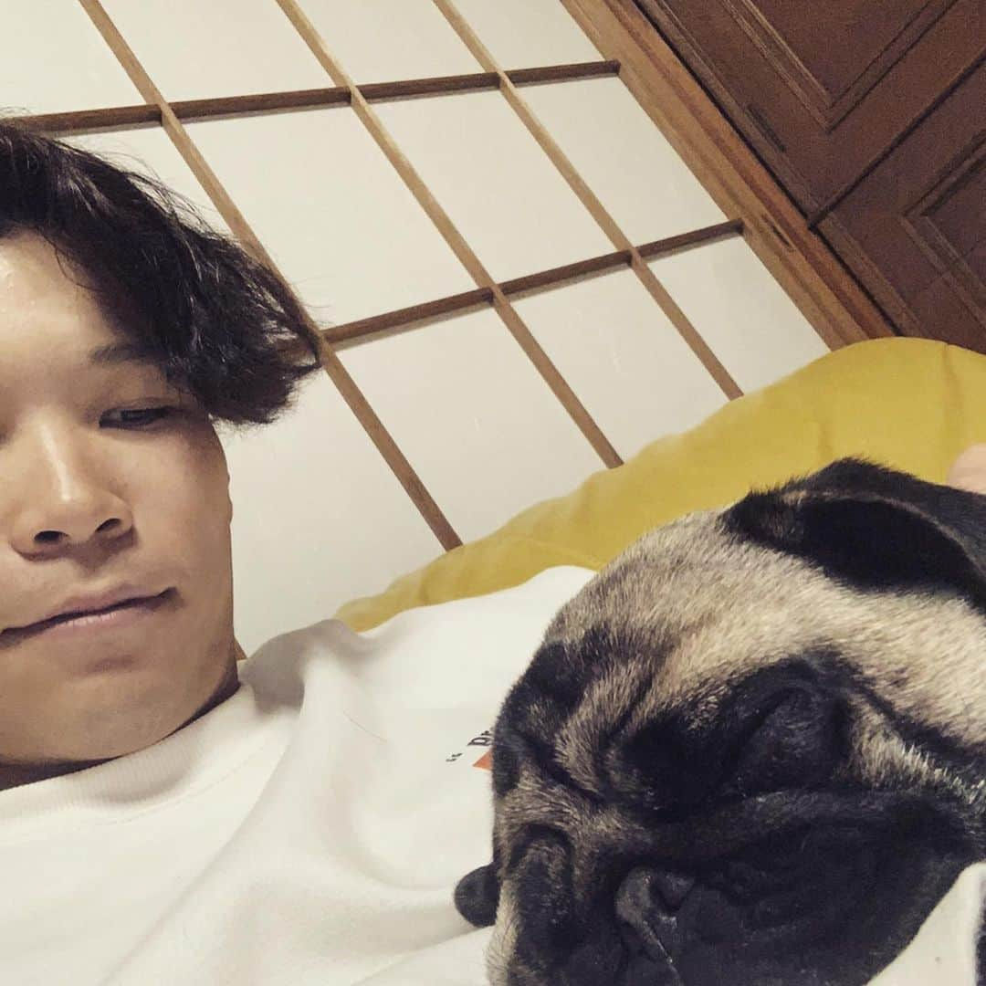 中川圭太さんのインスタグラム写真 - (中川圭太Instagram)「モカ2歳のお誕生日🎂  大きくなりました🐶🐽」3月9日 8時47分 - orix.67