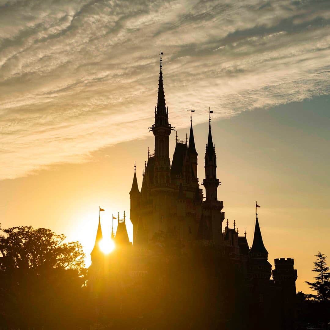 東京ディズニーリゾートさんのインスタグラム写真 - (東京ディズニーリゾートInstagram)「A brand new day has come! 新たな1日のはじまり・・・✨ #cinderellacastle #fantasyland #tokyodisneyland  #tokyodisneyresort #sunrise #シンデレラ城 #ファンタジーランド #東京ディズニーランド #東京ディズニーリゾート #朝日 #日の出」3月9日 9時07分 - tokyodisneyresort_official