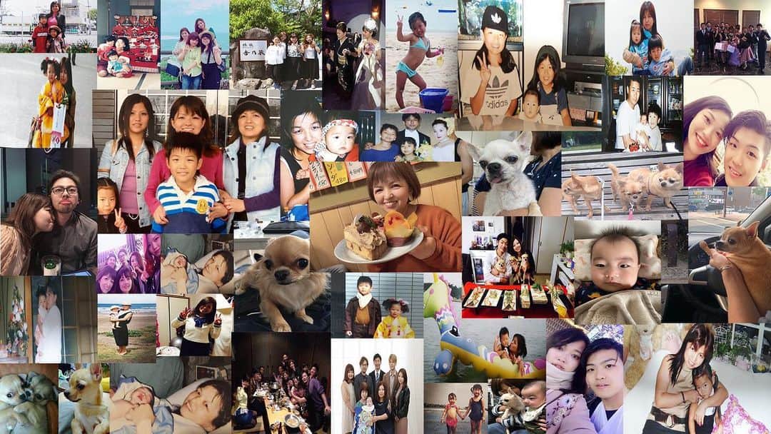 塩顔チワワのインスタグラム：「母上、還暦おめでとうございます🐶 . やんちゃ息子でゴメンチャイ🐶」