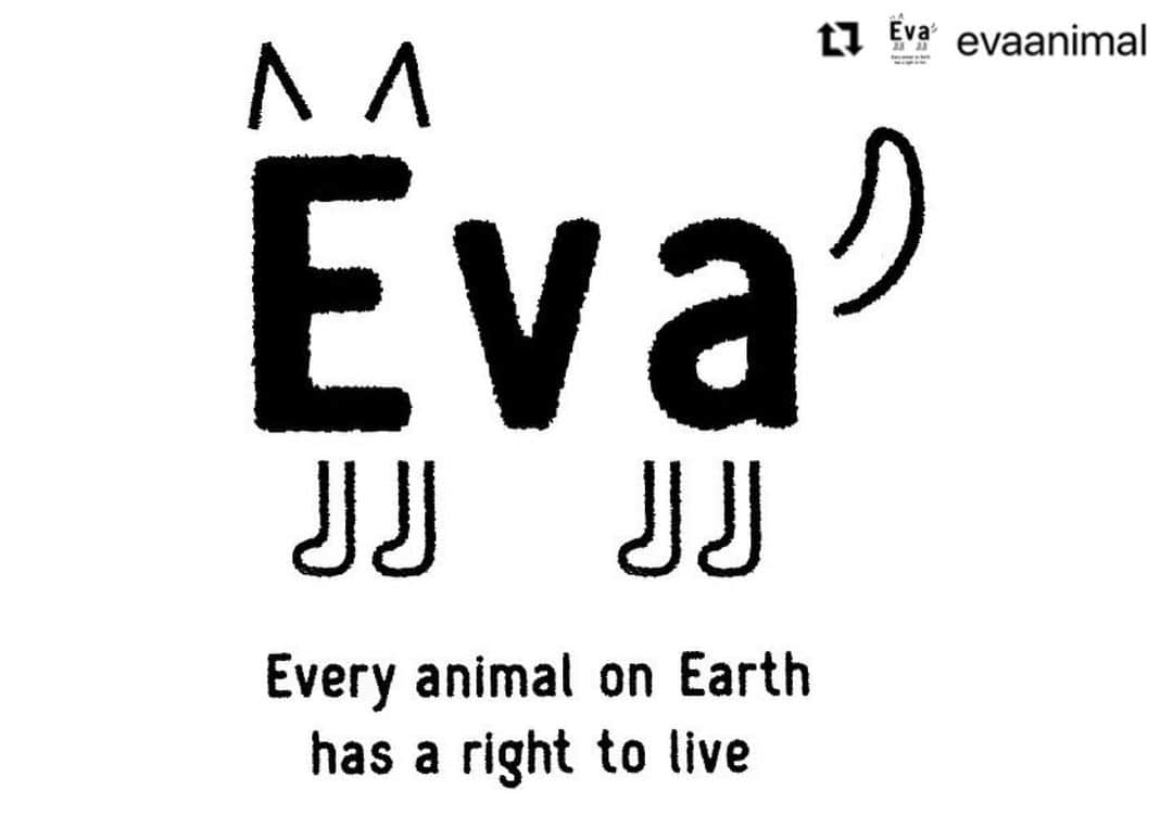 杉本彩さんのインスタグラム写真 - (杉本彩Instagram)「* * 日頃より私たちEvaの活動を応援してくださっている皆様に、Evaからご報告があります。  以下、Evaをrepostいたします！  　　↓↓↓  #Repost @evaanimal with @make_repost ・・・ 公益財団法人動物環境・福祉協会Evaは、内閣府賞勲局より日本の褒章制度の一つで、公益のために私財を寄付された方に授与される「紺綬褒章」の公益団体認定を受けました。  今後もより一層の公益事業の充実をはかり、動物福祉の向上を目指します。  https://www.eva.or.jp/konjuhosho #紺綬褒章 #動物環境福祉協会eva」3月9日 13時06分 - sugimoto_aya0719