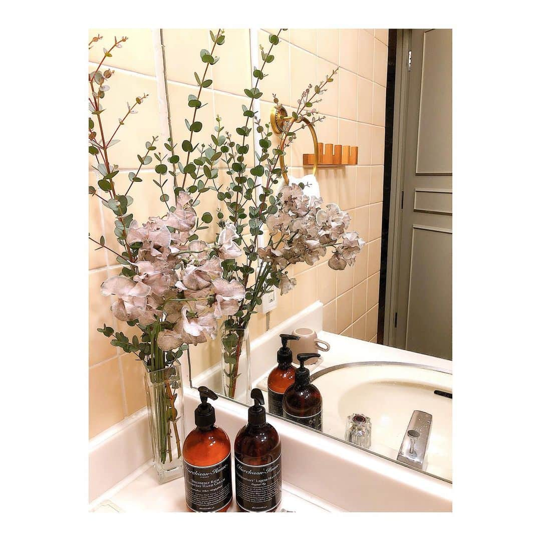 RisaWisteriaさんのインスタグラム写真 - (RisaWisteriaInstagram)「bathroomの植物事情🪴  1枚目はポストしようと思ってから時間が経っちゃったけどw ゆりあがプレゼントしてくれた素敵カラーのスイートピー💛  2枚目のストレチアオーガスタは新しい葉っぱがやっと開いてきて、毎日ワクワクお風呂に浸かりながら経過を観察してるんだ🌿✨✨  セロームもまた新しい葉っぱがくるっと出てきたっ✨✨  3枚目のパキラとアジアンタムもベイビーたちがたくさん出てきて 毎日春が来てるのを感じるよ🌼🌼🌼✨  パキラは窮屈な鉢で頑張って越冬したから、春には豪邸な鉢にお引越しさせてあげよう🥲✨  あとbathroomはトイレ脇にドラセナちゃんがいます💛  長くなったけど、、、笑 お部屋の植物もまたちょこちょこ紹介するね🌿」3月9日 22時54分 - risa_the_m_e