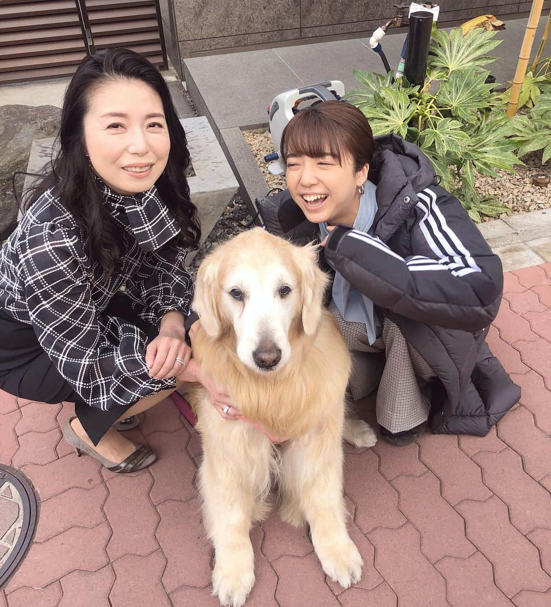 高橋ひとみのインスタグラム