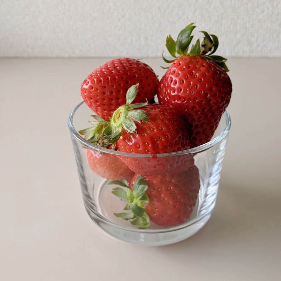 TBS「あさチャン！」のインスタグラム：「🍓 . この時期になると、いちごのスイーツやいちご味の商品がたくさんお店に並んでますね😋 . まずはいちごそのものをいただきます🍓 . #tbs #あさチャン」